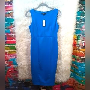 Banana Republic Blue Sleeveless New With Tags Side Zip Dress Size 4